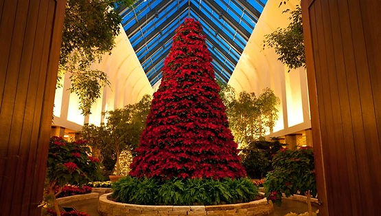 Christmas, Omaha 2020 | Heritage Tours